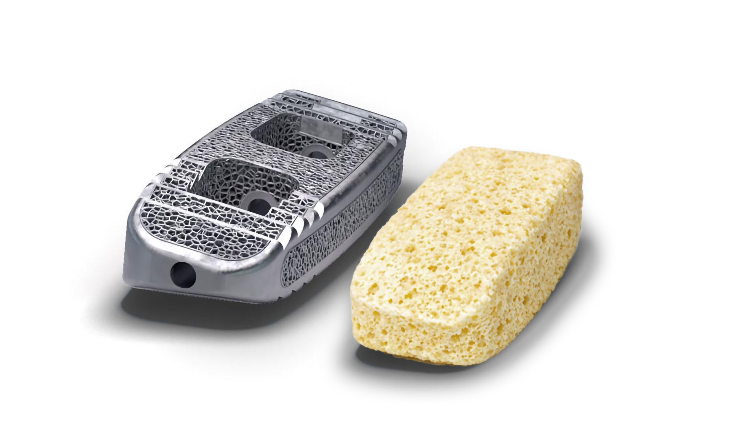 monza osso grande scaled