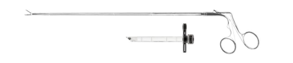 Progetto senza titolo 33 e1773695418197