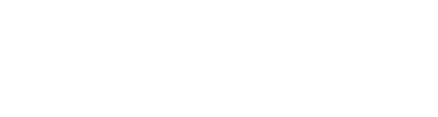 C.punt bianco e1775724300982